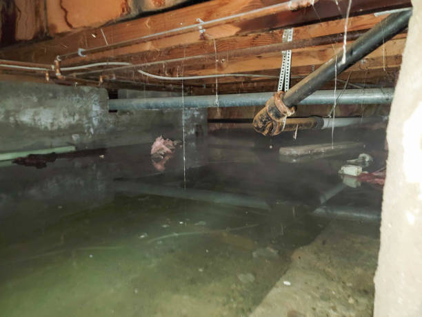 Best Commercial water damage restoration  in Bessemer, AL