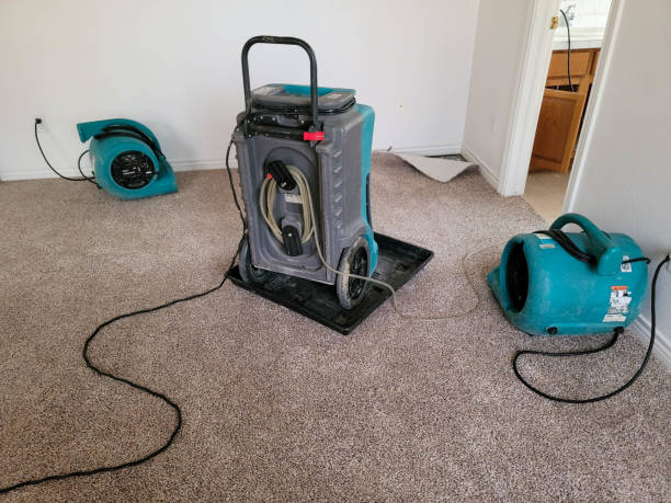 Best Mold removal after water damage  in Bessemer, AL