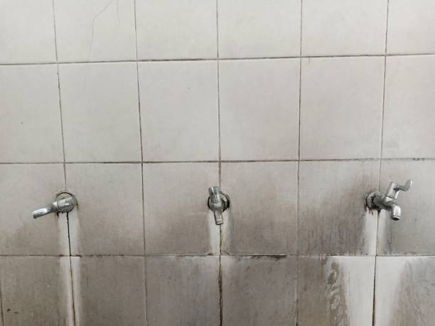 Best Local water damage restoration  in Bessemer, AL