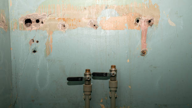 Best Water damage mitigation services  in Bessemer, AL